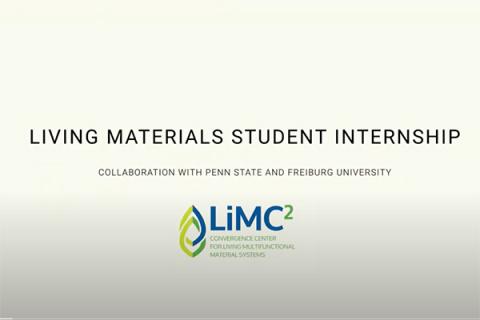 Penn State undergraduate students thrive in iPRISM research internship ...