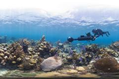 Filming Glovers Reef for the documentary "Chasing Coral."