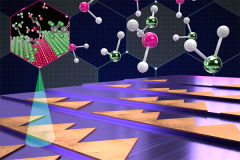 The atomic-scale steps on sapphire substrates enable crystal alignment of 2D materials during semiconductor fabrication