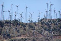 A wind farm in the Tehachapi mountains of California.