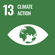 SDG goal 11