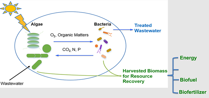 Water treatment illustration