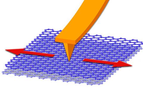 Schematic illustration of the atomic force microscopy-based (AFM) nanoscale friction test setup