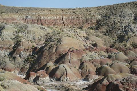 soil horizons in Wyoming