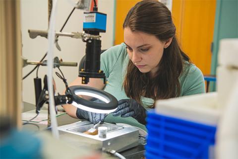 Lab research microplastics