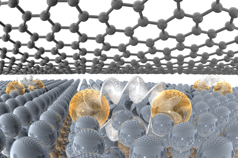 A single atomic layer of metal is capped by a layer of graphene