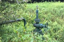 A sealed gas well in Moshannon State Forest