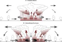 The cloud greenhouse effect accelerates tropical cyclone development.