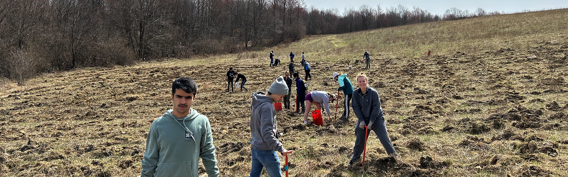 Students planting trees